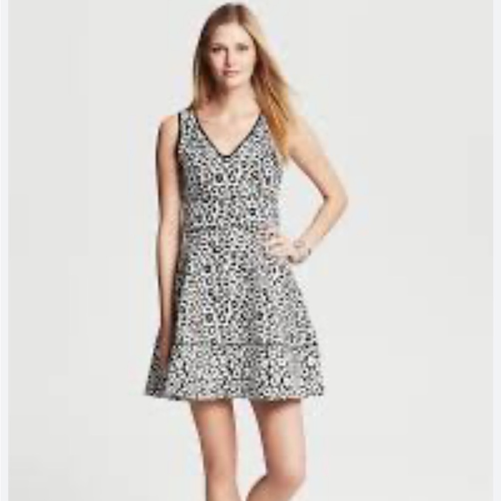 Banana Republic Black and White Fit and Flare Mini Dress